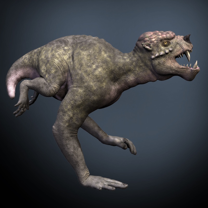 DzogunDR by N/A
