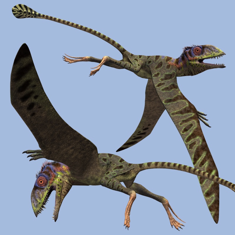 PeteinosaurusDR by N/A