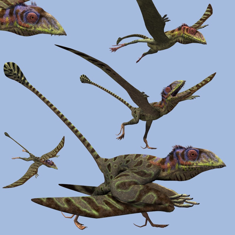 PeteinosaurusDR by N/A