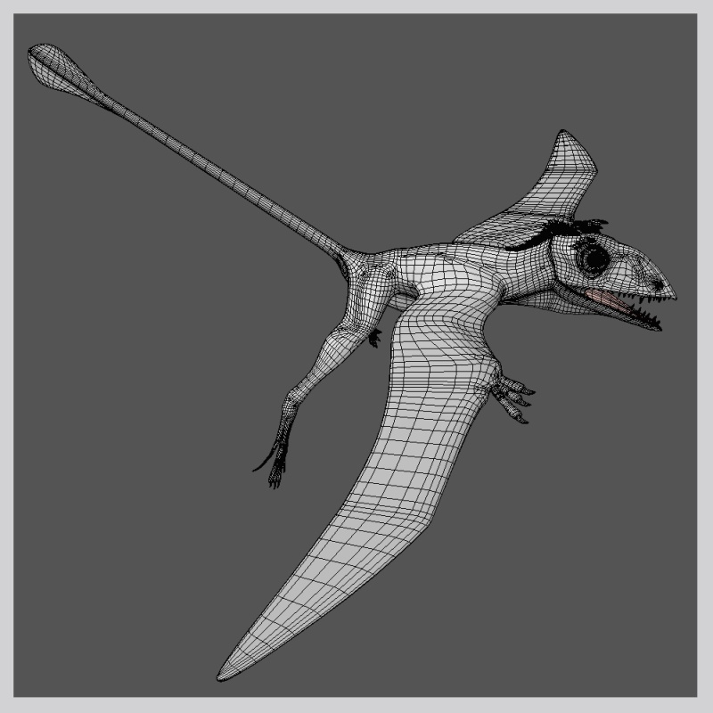 PeteinosaurusDR by N/A