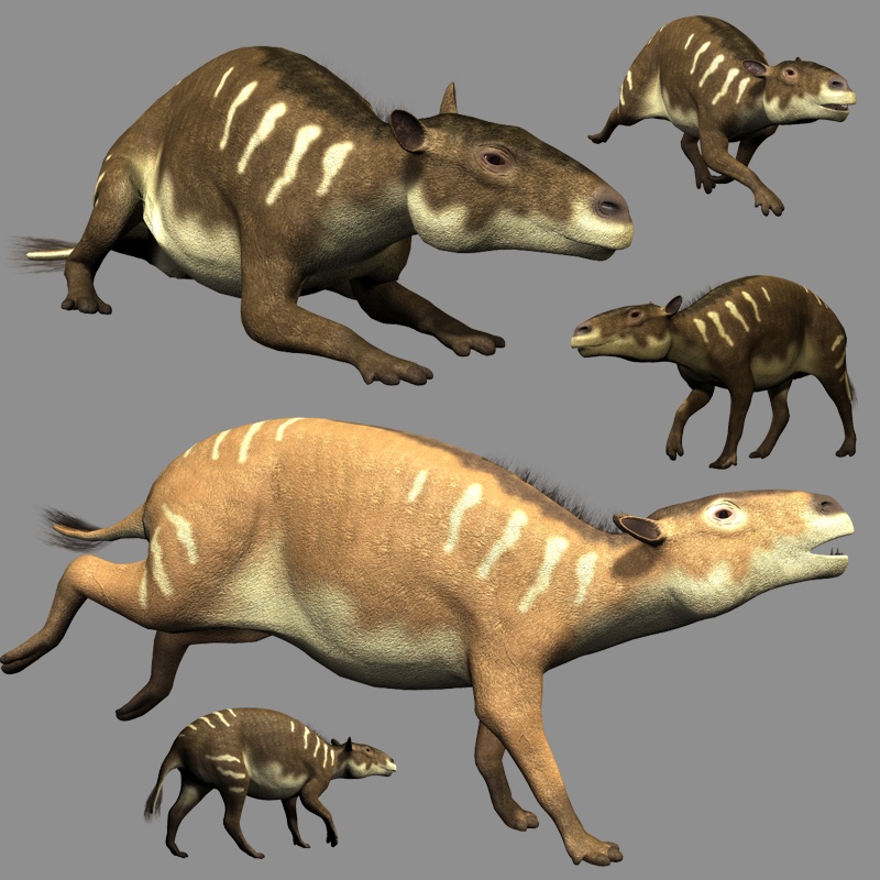 EurohippusDR by N/A