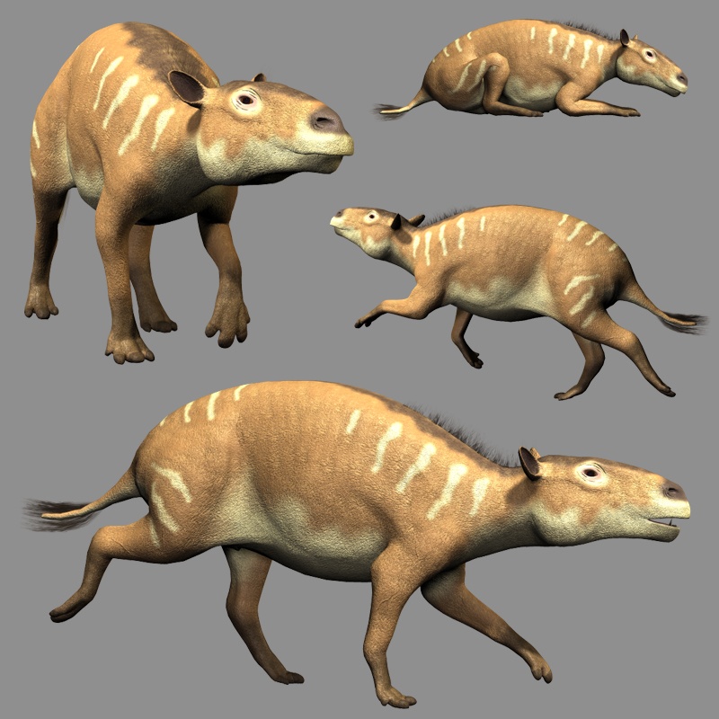 EurohippusDR by N/A