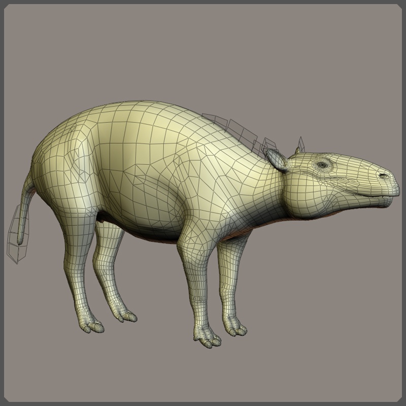 EurohippusDR by N/A