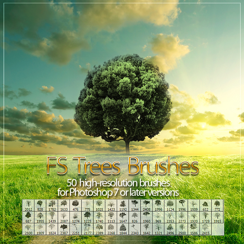 FS Trees by N/A
