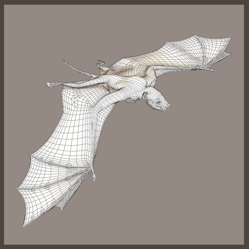 IcaronycterisDR by N/A