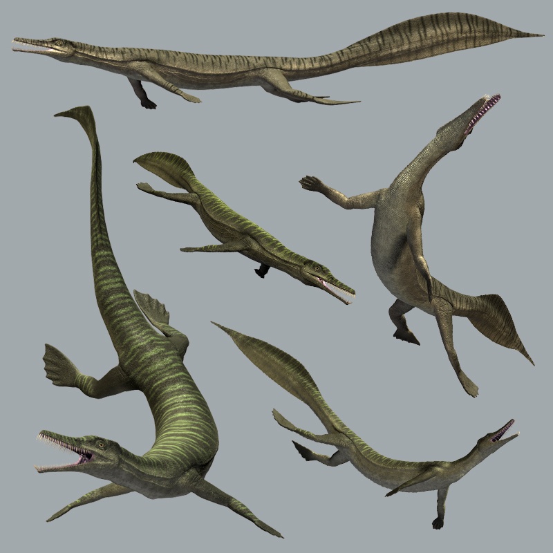 MesosaurusDR by N/A