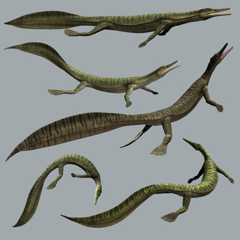 MesosaurusDR by N/A