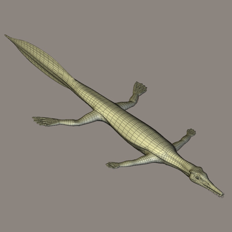 MesosaurusDR by N/A