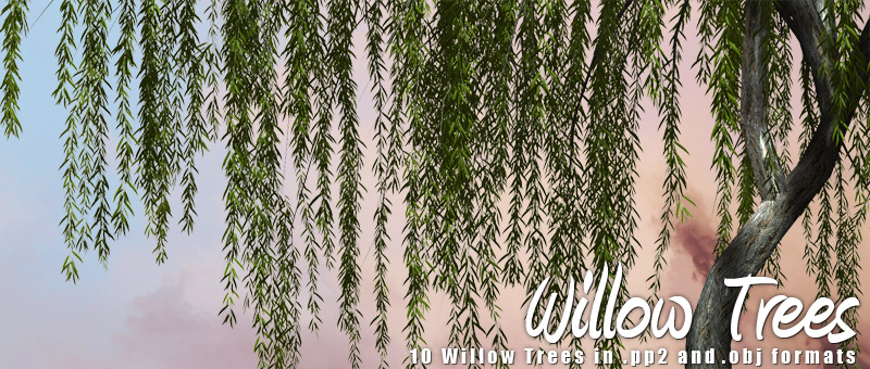 Willow Trees by N/A