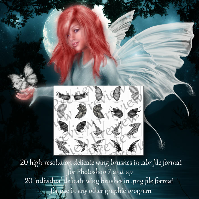 Delicate Wings by N/A