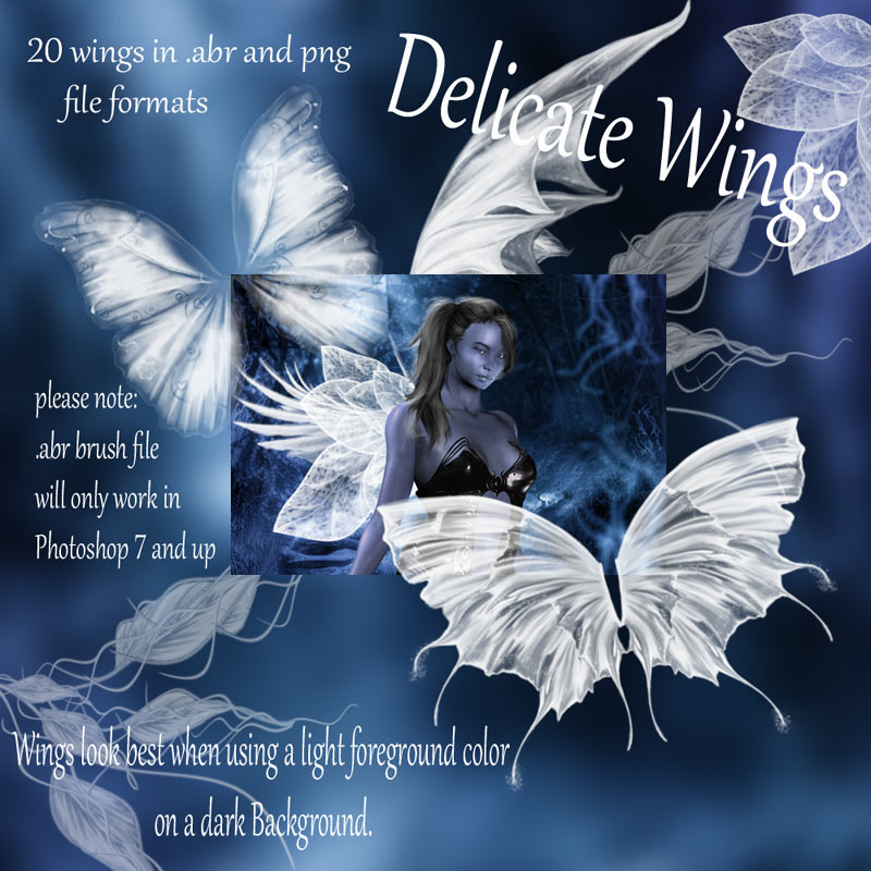 Delicate Wings by N/A