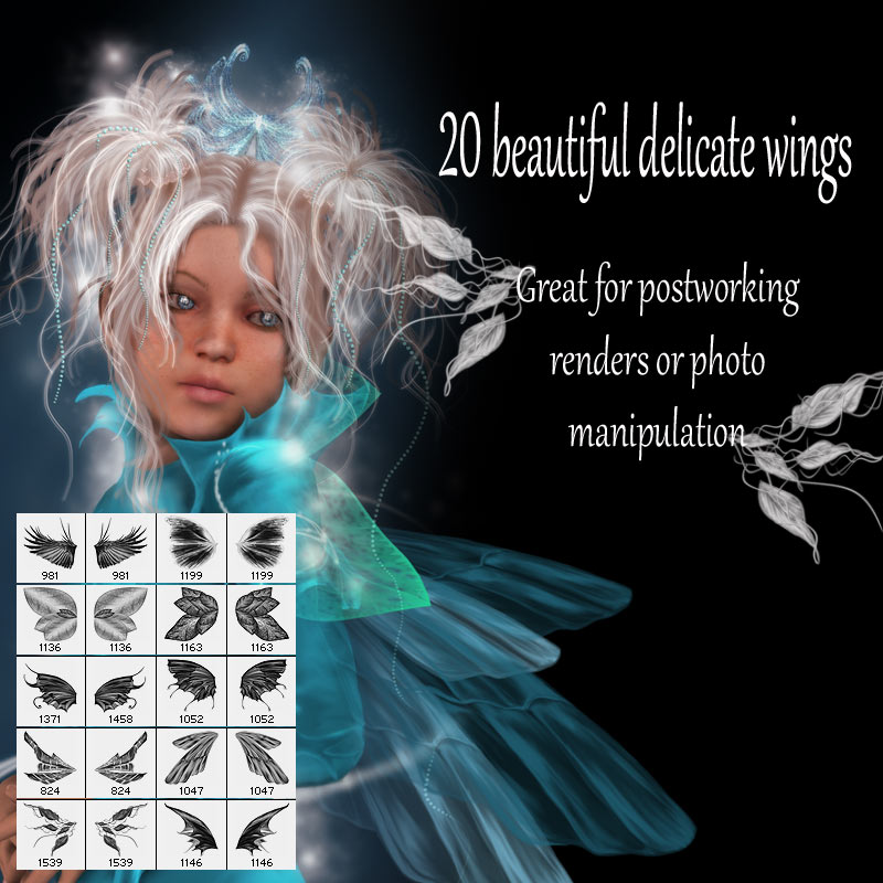 Delicate Wings by N/A