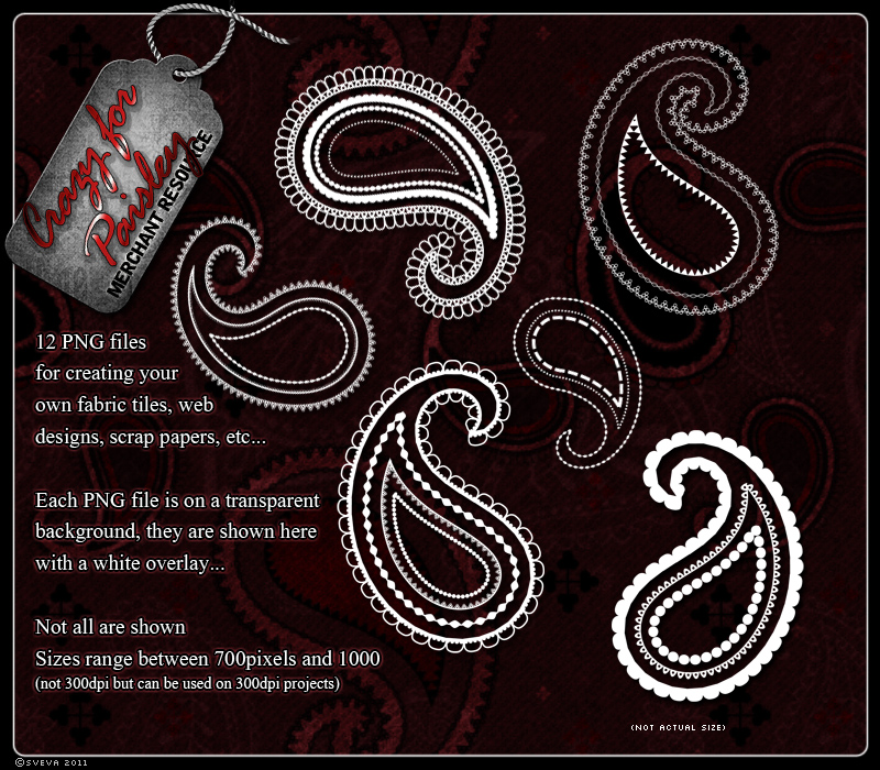 Merchant Resource: Crazy for Paisley by N/A