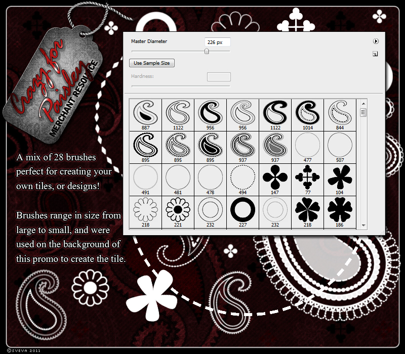 Merchant Resource: Crazy for Paisley by N/A