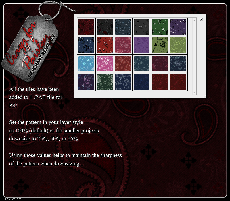 Merchant Resource: Crazy for Paisley by N/A