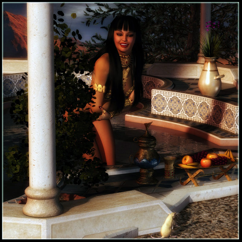 The Sultan's Pool by N/A