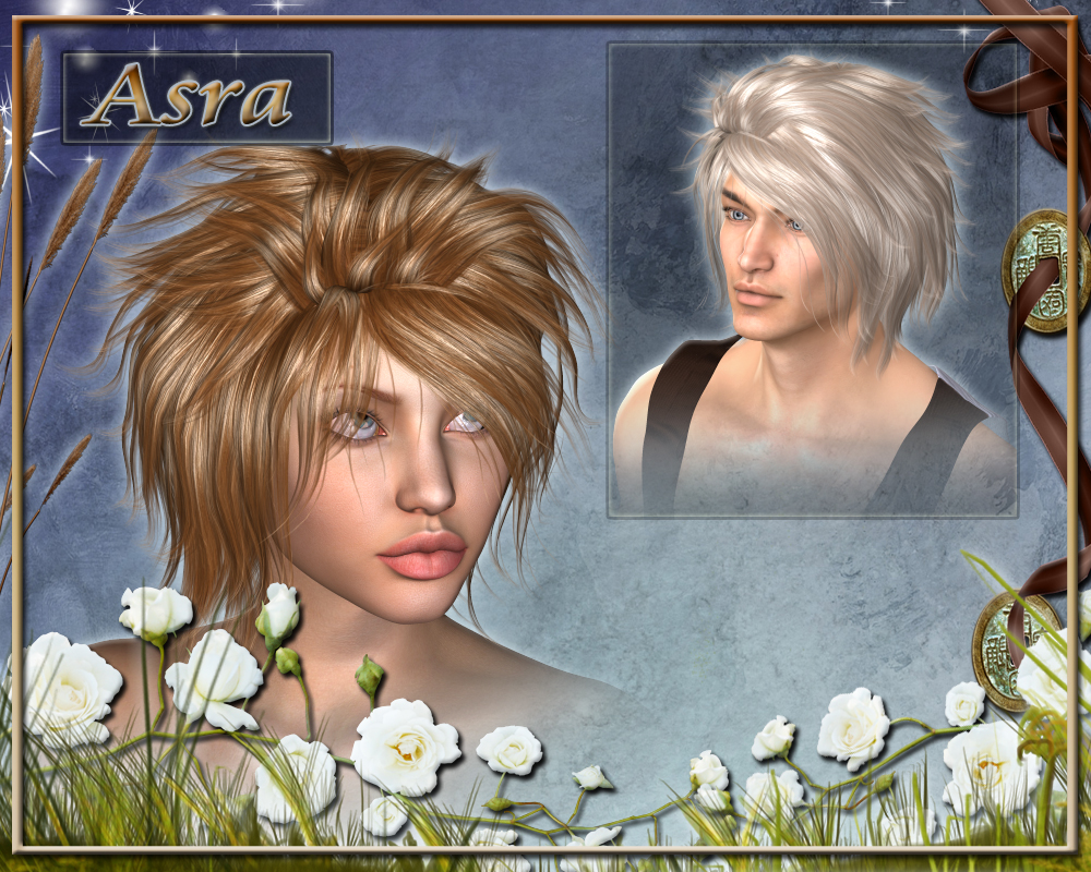 Asra Hair for V4 by N/A