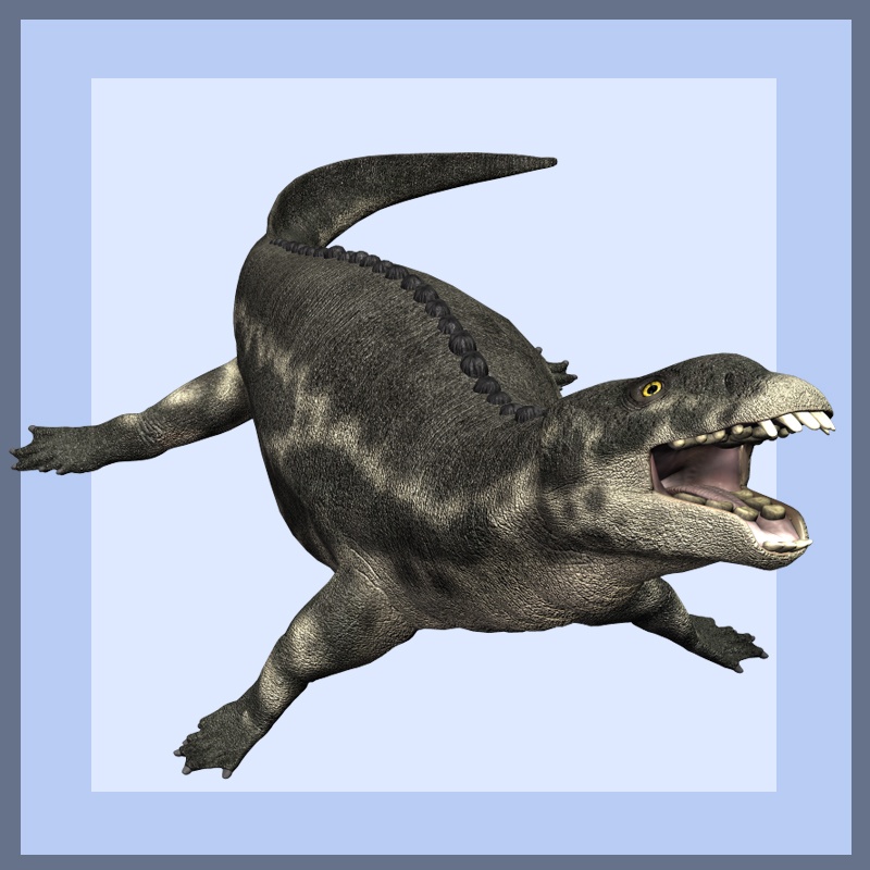 PlacodusDR by N/A