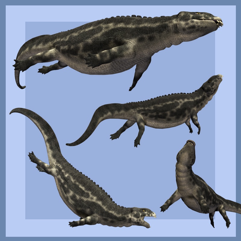 PlacodusDR by N/A