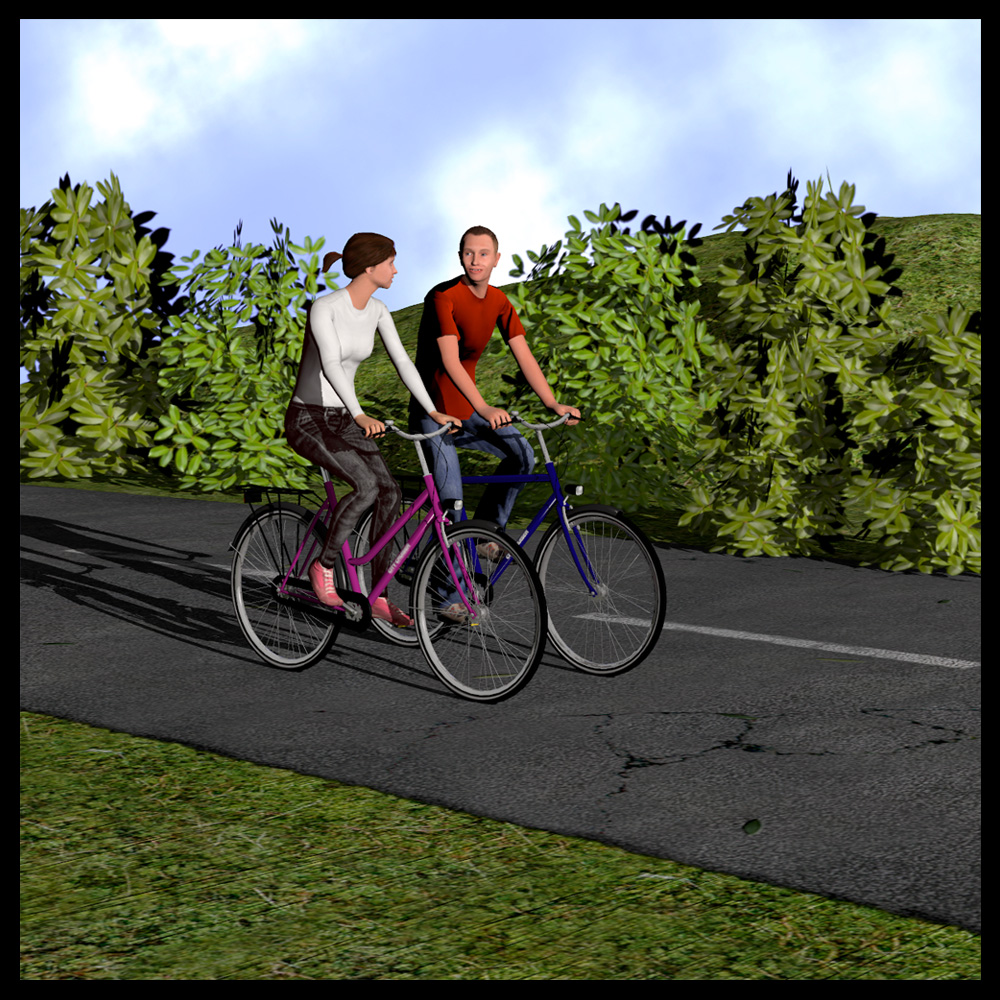 Adults bicycle set by N/A