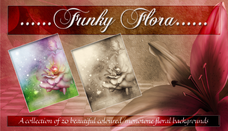Funky Flora by N/A