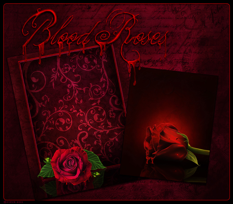 Blood Roses by N/A