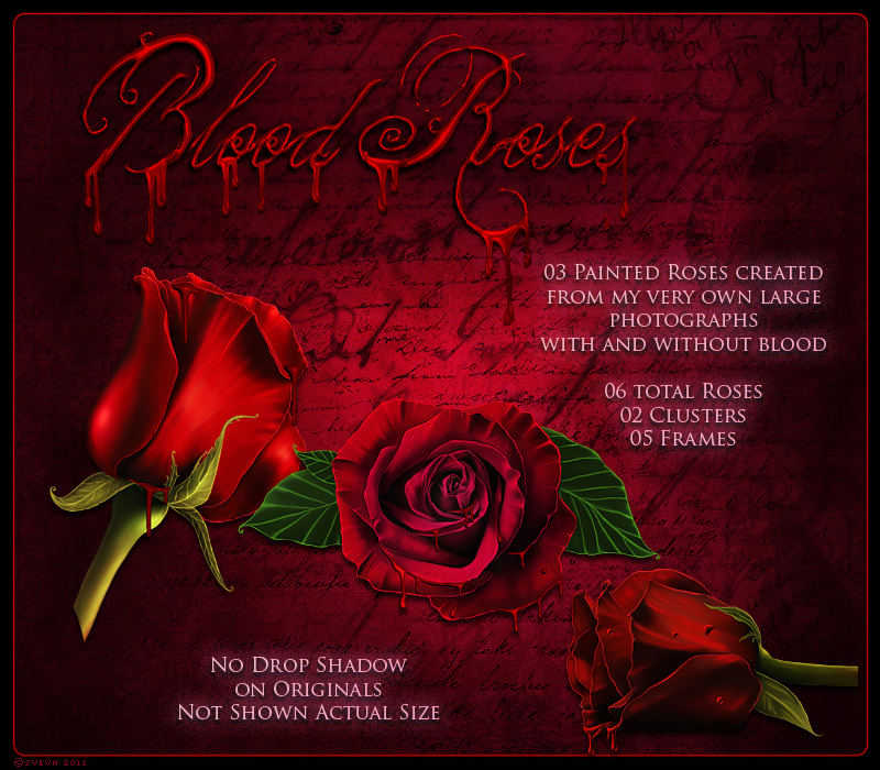 Blood Roses by N/A
