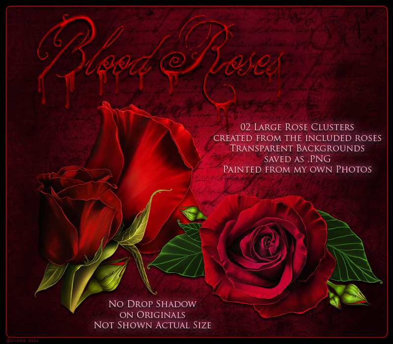 Blood Roses by N/A