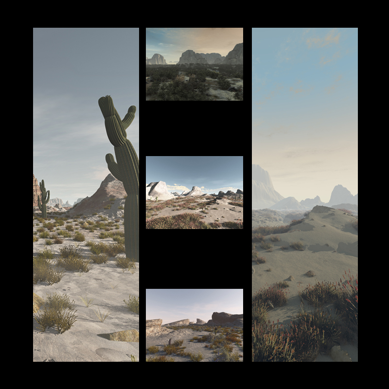 The Deserts Sand by N/A