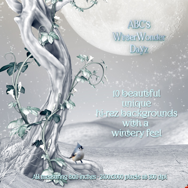 WinterWonderDayz by N/A