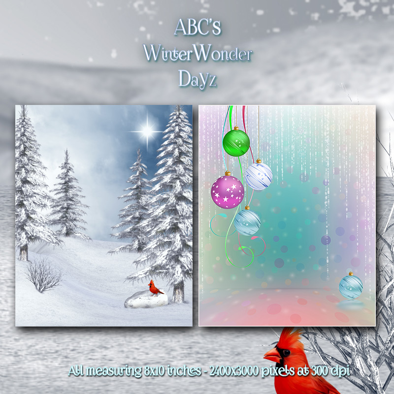 WinterWonderDayz by N/A