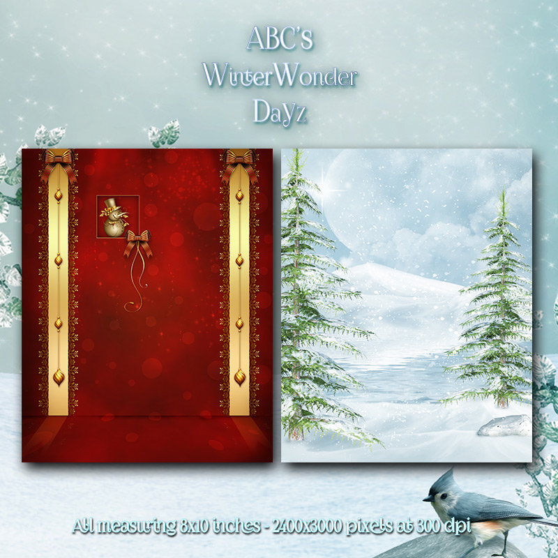 WinterWonderDayz by N/A