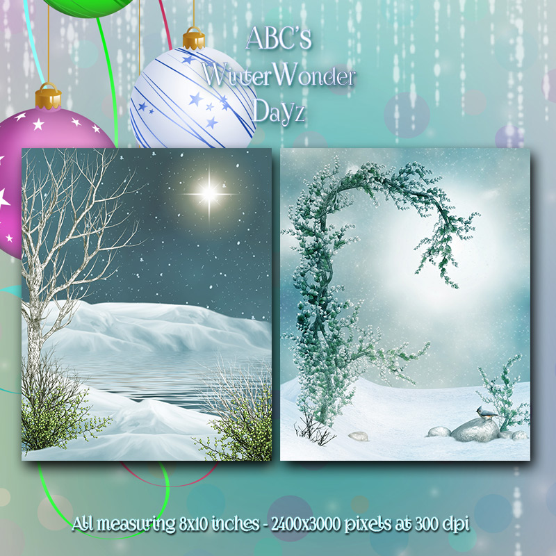 WinterWonderDayz by N/A