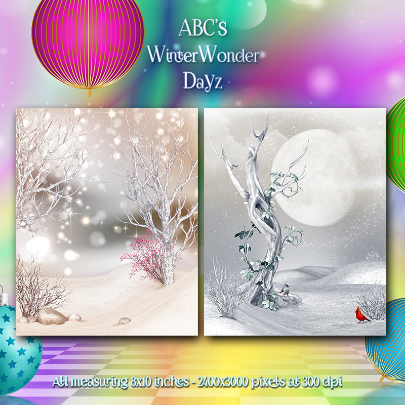 WinterWonderDayz by N/A