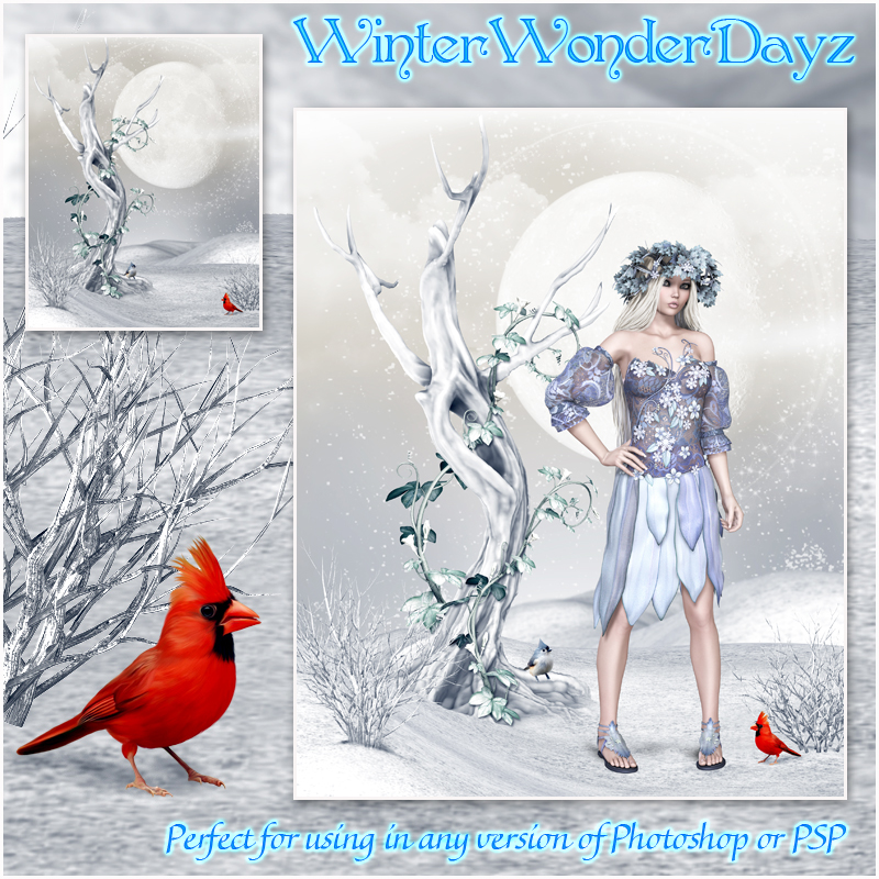 WinterWonderDayz by N/A