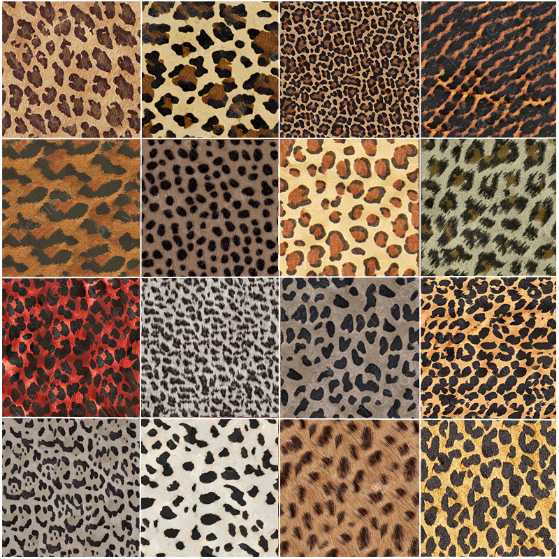 FS Animal Prints III by N/A