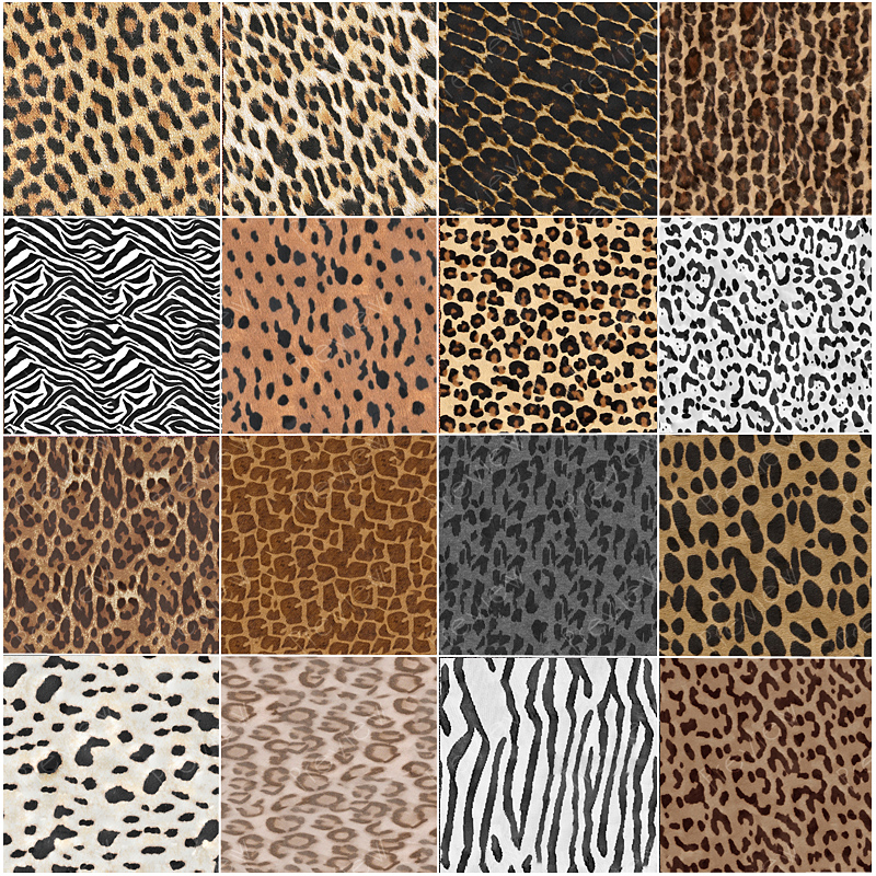 FS Animal Prints III by N/A