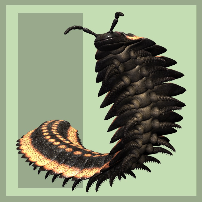 ArthropleuraDR by N/A