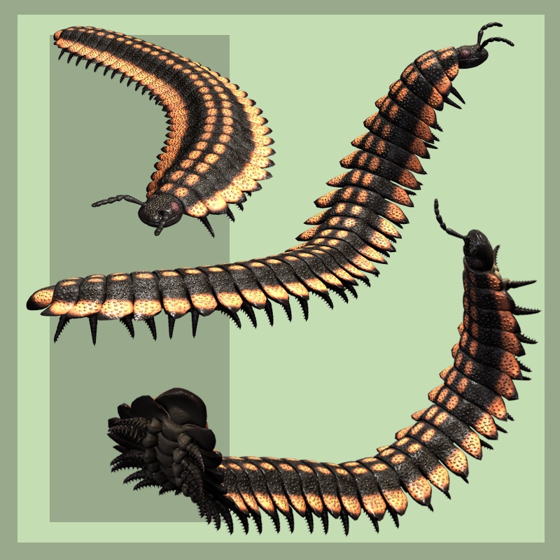 ArthropleuraDR by N/A