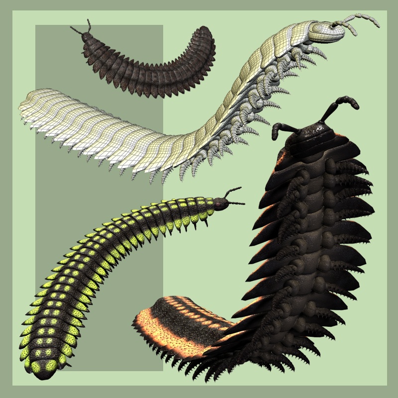 ArthropleuraDR by N/A