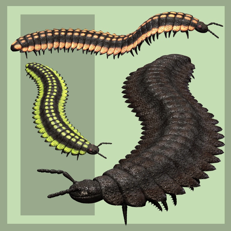 ArthropleuraDR by N/A
