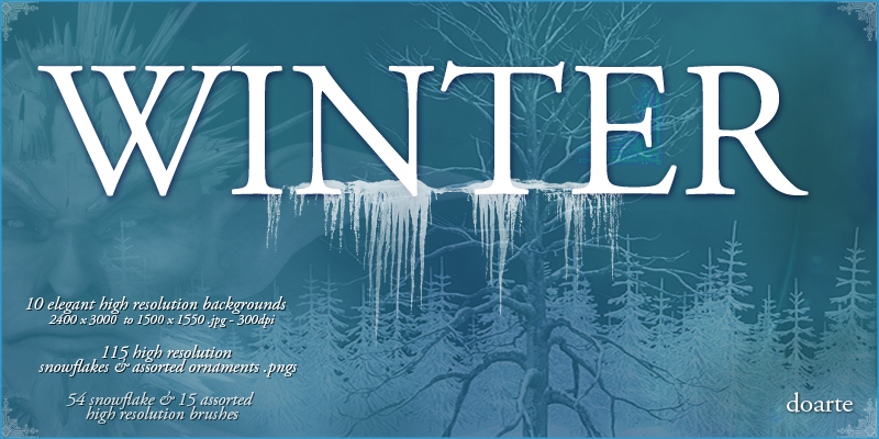 doarte's WINTER by N/A