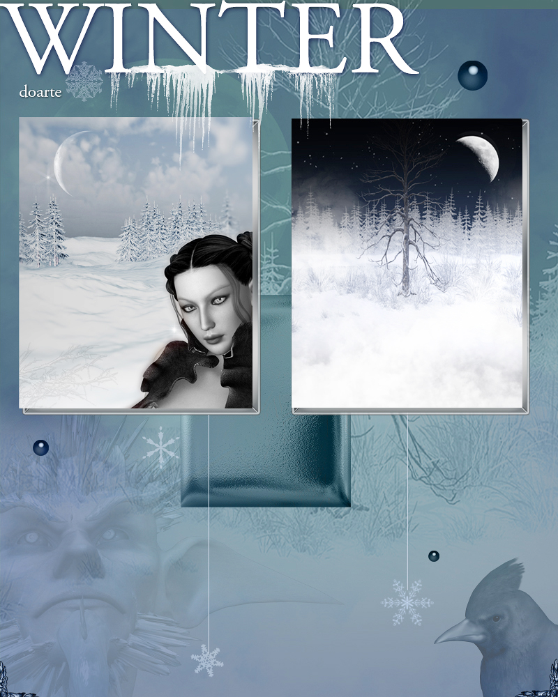 doarte's WINTER by N/A
