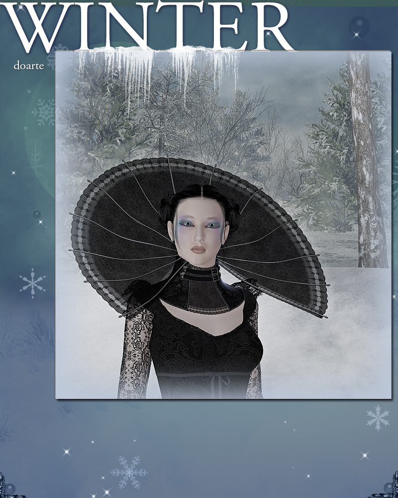 doarte's WINTER by N/A