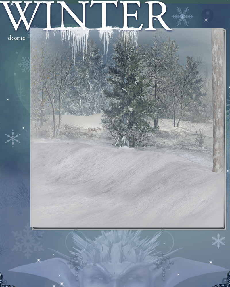 doarte's WINTER by N/A