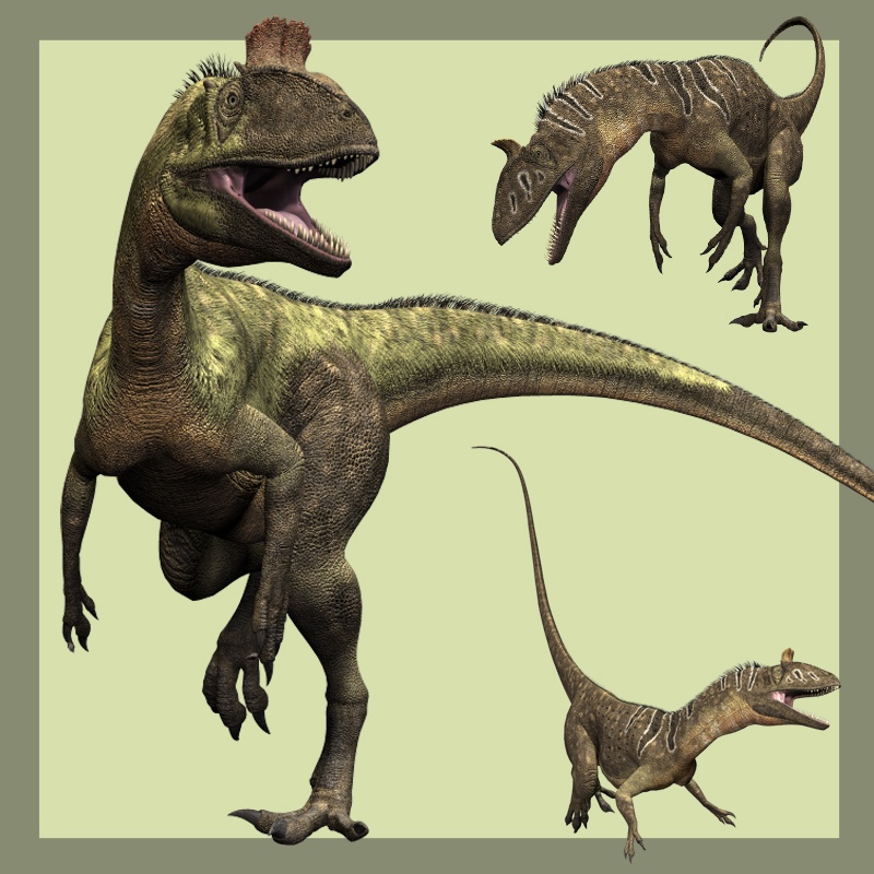 CryolophosaurusDR2 by N/A