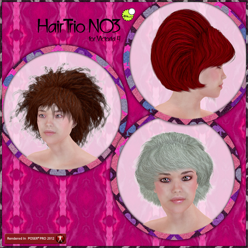 Biscuits Hair Trio NO3 by N/A