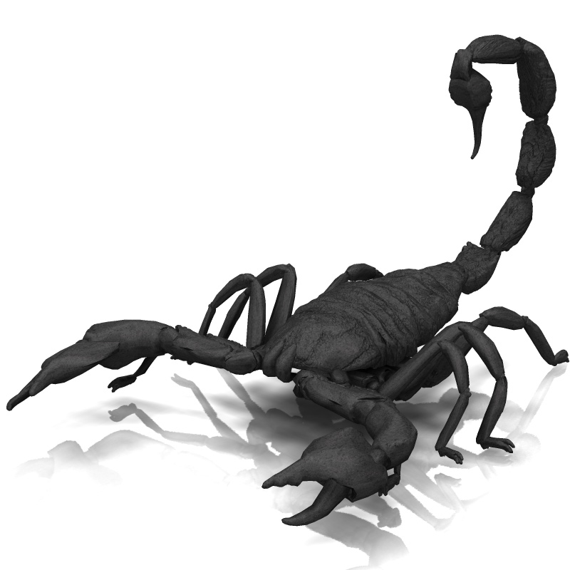 Scorpion/ Arachnid Scorpionida (for Poser) by N/A