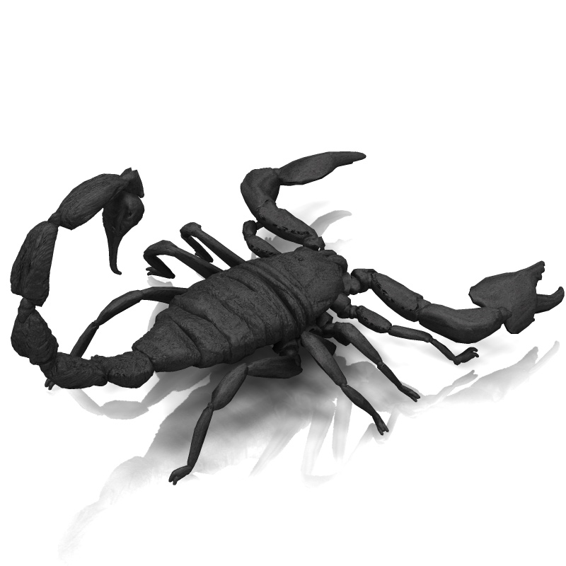 Scorpion/ Arachnid Scorpionida (for Poser) by N/A