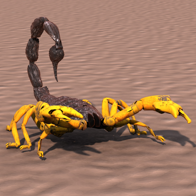 Scorpion/ Arachnid Scorpionida (for Poser) by N/A